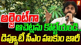 People Request To Remove Poisonous Conocarpus Plant  iNews [upl. by Atisusej83]