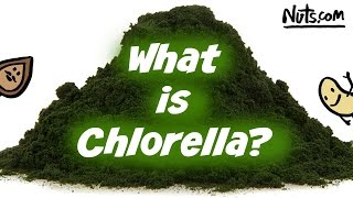 Health Benefits of Chlorella  Easy to Use Superfood [upl. by Aneertak]