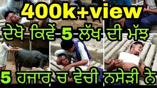 ਦੇਖੋ ਨਸ਼ੇੜੀਆ ਦਾ ਹਾਲ 5 lakh di majh vechi 5 hjaar di Share ਜਰੂਰ ਕਰੋ latest Punjabi Full video [upl. by Anielram]