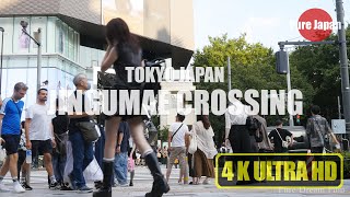 JINGUMAE CROSSING SEPTEMBER 7 2024 TIME 1640 GMT9 [upl. by Annasus]