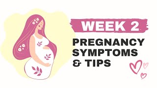 Week 2 of pregnancy  ഗർഭത്തിൻറെ രണ്ടാം ആഴ്ച  Week 2 of pregnancy symptoms and tips [upl. by Notgnirrab273]