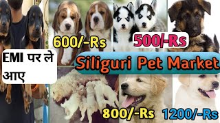 Pet Market in Siliguri  Siliguri Mahananda Pet Shop  Pet shop in Siliguri  Sabse Sasta Dog Market [upl. by Dnomso]