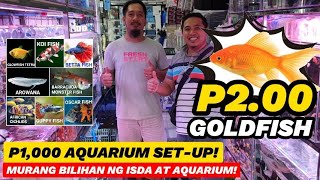 CARTIMAR PETSHOP BILIHAN MURANG ISDA AT AQUARIUM GOLDFISH 2 PESOS ONLY P1000 AQUARIUM SETUP [upl. by Brig]