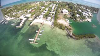 Topsider Lower Matecumbe Key Florida Keys May 2014 [upl. by Ilac]