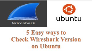 How to Check Wireshark Version on Linux  Quick amp Easy Methods [upl. by Ellehcal]