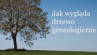 Drzewo genealogiczne wywód przodków i drzewo genealogiczne rodziny [upl. by Aljan]