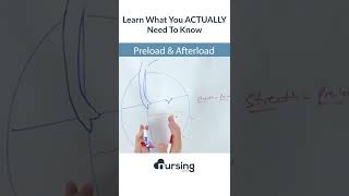 Preload v Afterload  an intro nclex nursingstudent [upl. by Adrahs80]