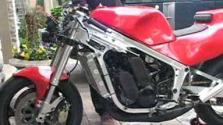 Suzuki RG500 Gamma RG 500 Wolf exhaust Tuned [upl. by Pressman]