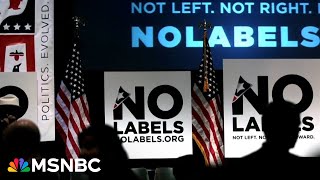 Their effort is doomed The truth about No Labels [upl. by Zellner554]