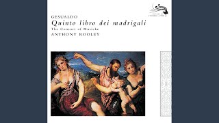 Gesualdo Fifth book of madrigals  11 Merce grido piangendo [upl. by Eisned]