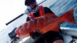 Fight flight or fish Fishing at the Maldives [upl. by Arrakat]