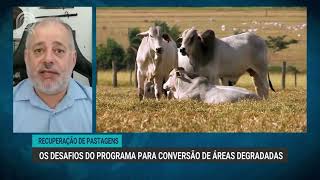 Recuperação de pastagens  Desafios do programa para conversão de áreas degradadas  Canal Rural [upl. by Mide]