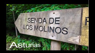 CASCADA DE LOS MOLINOS EN ASTURIAS [upl. by Chipman]