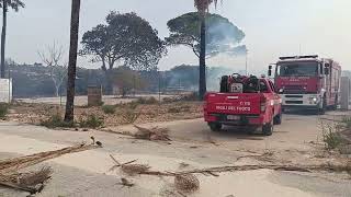 Marsala vasto incendio di sterpaglie allinterno del giardino di Villa Damiani [upl. by Ekud646]