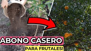 ABONO CASERO Para CRECIMIENTO de Árboles FRUTALES y Den MÁS FRUTA 🍋🍊 Fertilizante CITRICOS [upl. by Emelia777]