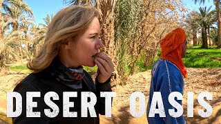 DESERT OASIS explained this is how they do it S7  E7 [upl. by Storer]