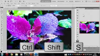 How to Use Camera Raw Bridge CS5 Photoshop [upl. by Llorrad]