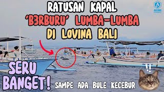 SERU LIHAT LUMBA LUMBA DI PANTAI LOVINA BALI  NAIK KAPAL MELIHAT ATRAKSI LUMBA LUMBA LOVINA BALI [upl. by Brenton]