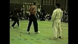 Pencak Silat VS Karate [upl. by Wendell]