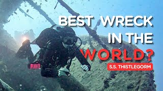 EXPLORING THE BEST WRECK IN THE RED SEA  Thistlegorm  Ras Muhammad National Park [upl. by Servetnick]