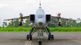 Tributo al Sepecat Jaguar quotFAEquot [upl. by Janka]