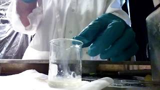 Mixing equal parts Titanium Butoxide with Nitric Acid [upl. by Melva]