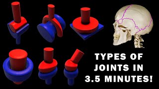 JOINT ANATOMY in 35 MINUTES [upl. by Ylloh]