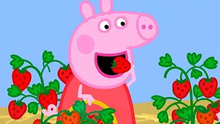 Peppa Pig Full Episodes  Season 8  Compilation 47  Kids Video [upl. by Rahr617]