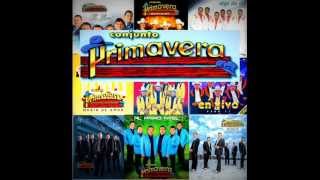 Conjunto primavera MIX [upl. by Edsel]