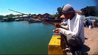 Mancing Mania Cilacap Lihat cara orang ini mancing ikan Blanak di Spot Navigasi [upl. by Sethi]