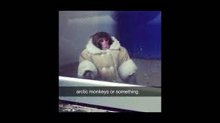 arctic monkeys  505 sped up [upl. by Anelyak]