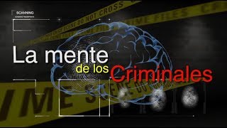 ¿Cómo funciona el cerebro de un criminal [upl. by Shaffer]