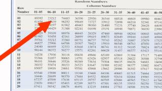 Random Number Table [upl. by Airotahs]