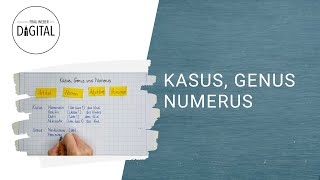 Kasus Genus und Numerus  das bedeuten die Begriffe inkl Arbeitsblatt [upl. by De Witt219]