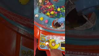 Crane Games ろこまこあころこまこあこ三姉妹双子ろこまこあこチャンネルクレーンゲームUFOキャッチャーゲーセン買い放題 クレーンゲームufoキャッチャーゲーセン [upl. by Boland]