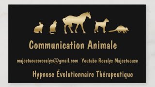 HET 🐶COMMUNICATION ANIMALE HYPNOSE ÉVOLUTIONNAIRE THÉRAPEUTIQUE [upl. by Itch]