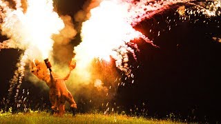 T REX ON THE 4TH OF JULY 100 ROMAN CANDLES AT ONCE [upl. by Prisca]