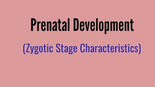 Prenatal Development Zygotic stage characteristics [upl. by Li]