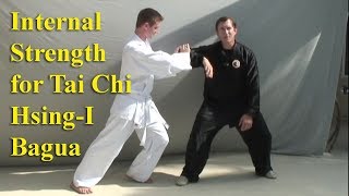 Internal Strength for HsingI Tai Chi Bagua Xingyi [upl. by Boehmer]