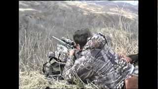 Brown Bear Hunting on Kodiak Island  MossBack [upl. by Tarra]