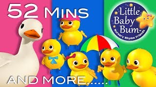 Five Little Ducks  1 Hour of LittleBabyBum  Nursery Rhymes for Babies ABCs and 123s  LBB [upl. by Ajnat520]