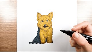 Apprenez à dessiner un Yorkshire Terrier étape par étape pour débutants [upl. by Eladal583]