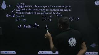 A male human is heterozygous for autosomal genes A B and is also hemizygous for haemophilic gene [upl. by Haceber]