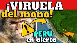 ALERTA ⚠️ ¿PERÚ EN ALERTA POR VIRUELA DEL MONO  ¿NUEVA CEPA DETECTADA [upl. by Boy133]