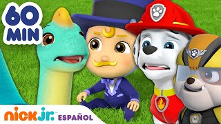 PAW Patrol  ¡1 hora de los rescates de bebés más adorables de la Patrulla canina  Nick Jr [upl. by Poland212]