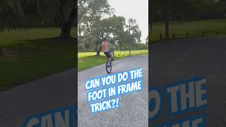 Super Easy wheelie trick anyone can learn bicycle wheelies trendingshorts [upl. by Erb]