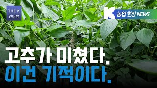 저는 말씀드릴 수 있습니다 이건 진짜 기적이다 고추를 따다 따다 지쳤다니까요 클라스만 고객이 전하는 진짜 이야기  우리는 그의 이야기를 들어보기로 했다  클라스만 데일만 [upl. by Arahsak898]