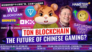 Elon Musk’s not guilty charge meme coin builds church crypto owners prefer Trump ⚡️ Hamster News [upl. by Showker]