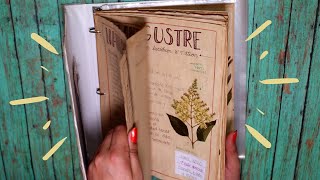 MI HERBARIUM  DIY [upl. by Cattier]