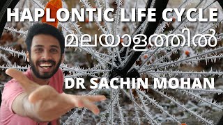 haplontic life cycle  malayalam  plant kingdom  class 11  plus one [upl. by Nedla]